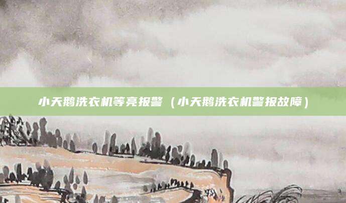 小天鹅洗衣机等亮报警（小天鹅洗衣机警报故障）