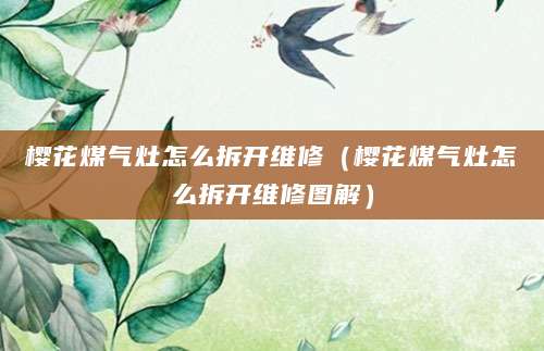 樱花煤气灶怎么拆开维修（樱花煤气灶怎么拆开维修图解）
