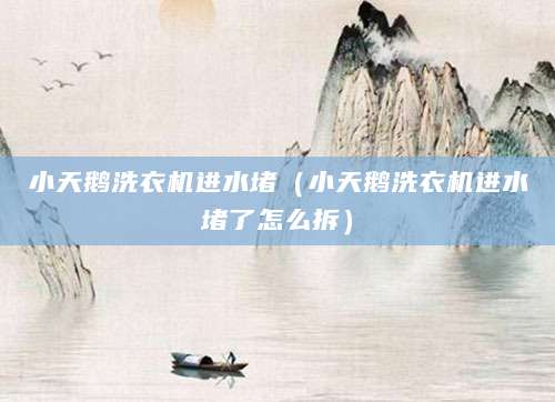 小天鹅洗衣机进水堵(小天鹅洗衣机进水堵了怎么拆)