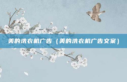 美的洗衣机广告(美的洗衣机广告文案)