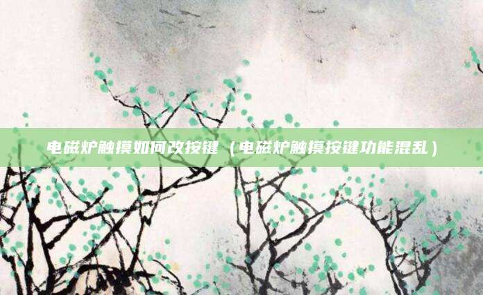 电磁炉触摸如何改按键（电磁炉触摸按键功能混乱）