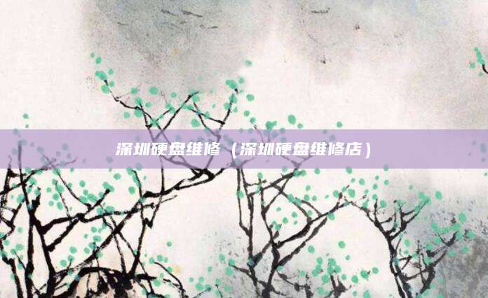 深圳硬盘维修（深圳硬盘维修店）
