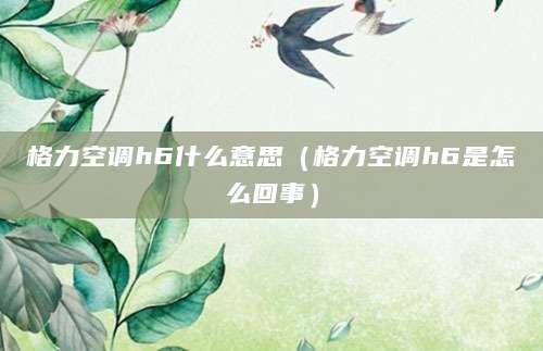 格力空调h6什么意思（格力空调h6是怎么回事）