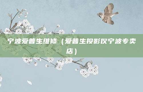 宁波爱普生维修（爱普生投影仪宁波专卖店）