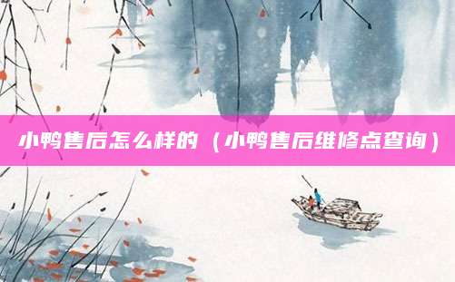 小鸭售后怎么样的（小鸭售后维修点查询）