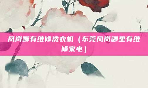 凤岗哪有维修洗衣机（东莞凤岗哪里有维修家电）