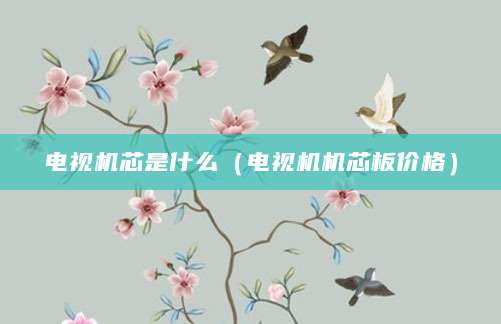 电视机芯是什么（电视机机芯板价格）