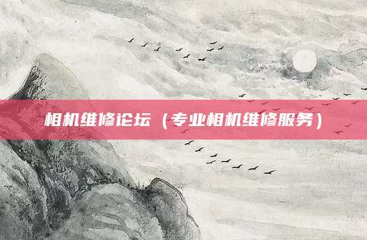 相机维修论坛（专业相机维修服务）