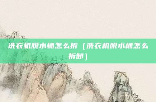 洗衣机脱水桶怎么拆（洗衣机脱水桶怎么拆卸）