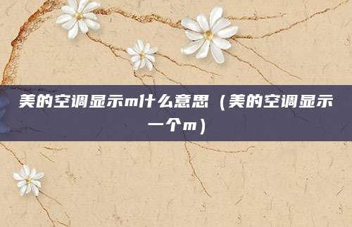 美的空调显示m什么意思（美的空调显示一个m）