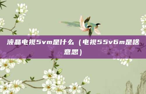 液晶电视5vm是什么（电视55v6m是啥意思）