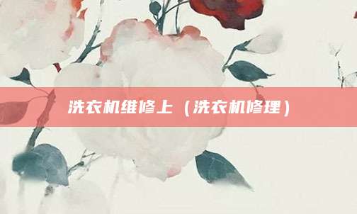 洗衣机维修上（洗衣机修理）