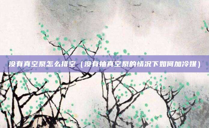 没有真空泵怎么排空(没有抽真空泵的情况下如何加冷媒)