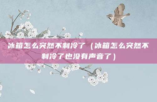 冰箱怎么突然不制冷了（冰箱怎么突然不制冷了也没有声音了）