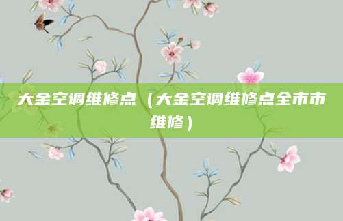 大金空调维修点（大金空调维修点全市市维修）