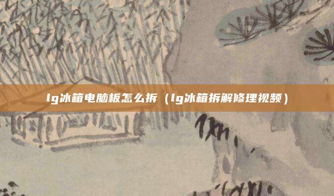 lg冰箱电脑板怎么拆（lg冰箱拆解修理视频）