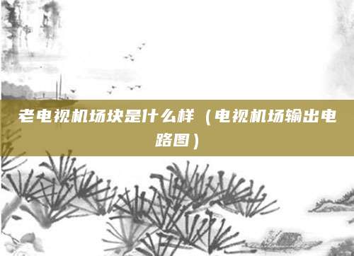 老电视机场块是什么样（电视机场输出电路图）