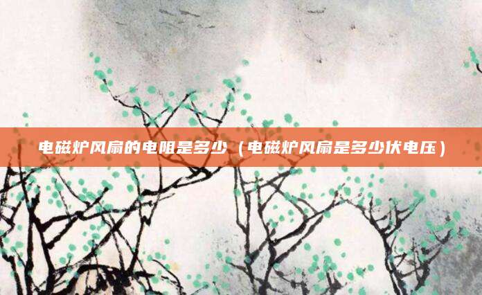 电磁炉风扇的电阻是多少（电磁炉风扇是多少伏电压）