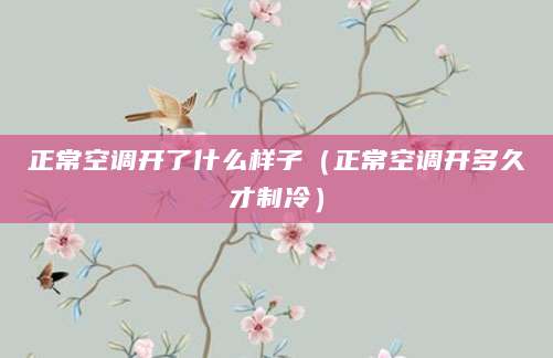 正常空调开了什么样子（正常空调开多久才制冷）