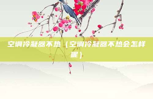 空调冷凝器不热（空调冷凝器不热会怎样呢）