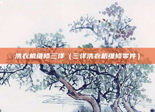 洗衣机维修三洋（三洋洗衣机维修零件）