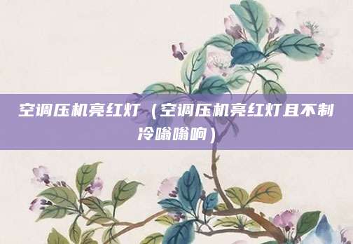 空调压机亮红灯（空调压机亮红灯且不制冷嗡嗡响）