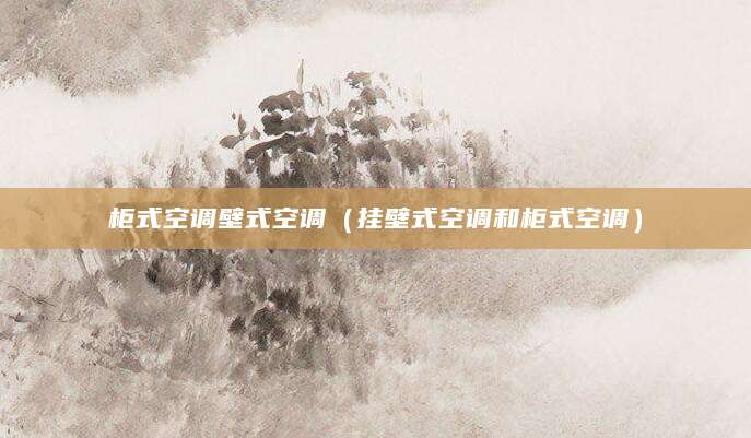 柜式空调壁式空调（挂壁式空调和柜式空调）