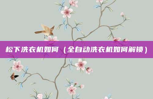松下洗衣机如何（全自动洗衣机如何解锁）
