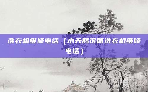 洗衣机维修电话（小天鹅滚筒洗衣机维修电话）