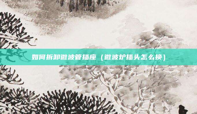 如何拆卸微波管插座（微波炉插头怎么换）