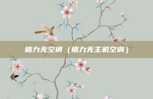 格力无空调（格力无主机空调）
