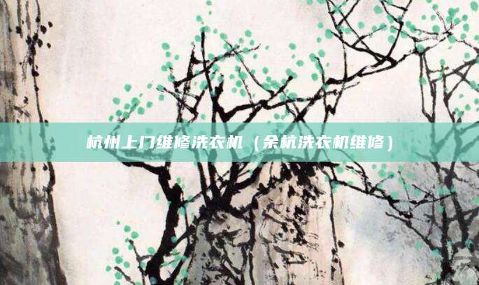 杭州上门维修洗衣机（余杭洗衣机维修）