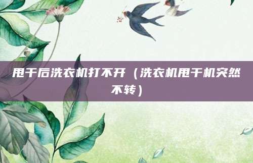 甩干后洗衣机打不开（洗衣机甩干机突然不转）