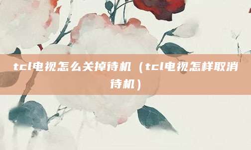 tcl电视怎么关掉待机（tcl电视怎样取消待机）