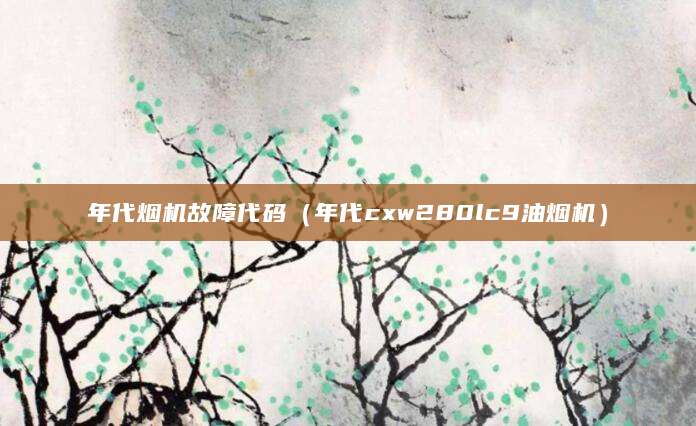 年代烟机故障代码（年代cxw280lc9油烟机）