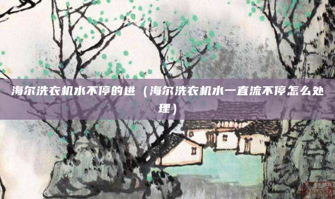 海尔洗衣机水不停的进(海尔洗衣机水一直流不停怎么处理)
