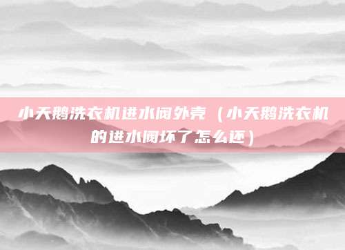 小天鹅洗衣机进水阀外壳（小天鹅洗衣机的进水阀坏了怎么还）