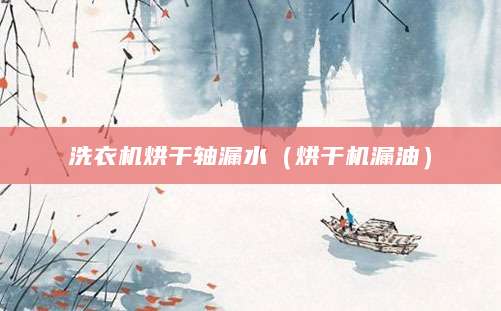 洗衣机烘干轴漏水（烘干机漏油）