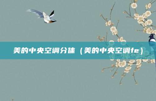美的中央空调分体（美的中央空调fe）