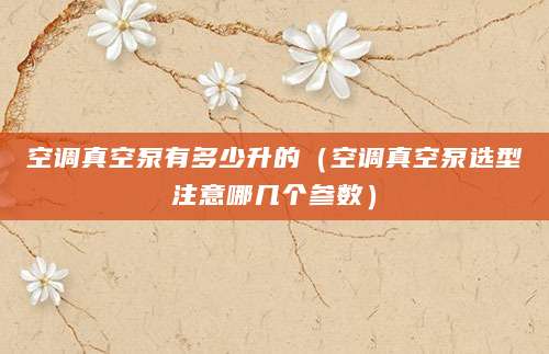 空调真空泵有多少升的(空调真空泵选型注意哪几个参数)