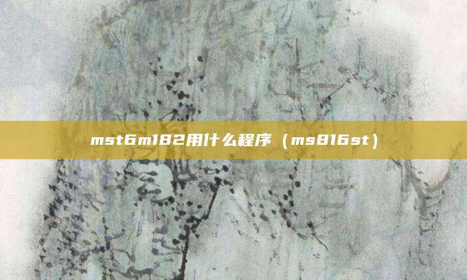 mst6m182用什么程序(ms816st)