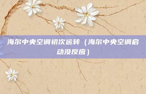 海尔中央空调初次运转(海尔中央空调启动没反应)