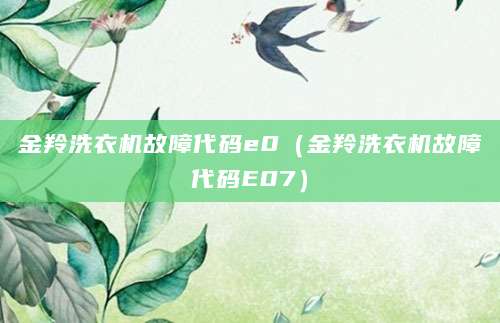 金羚洗衣机故障代码e0（金羚洗衣机故障代码E07）