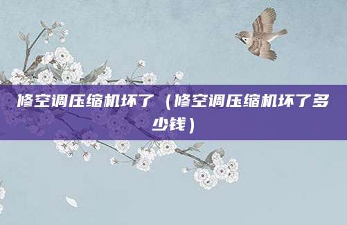 修空调压缩机坏了（修空调压缩机坏了多少钱）