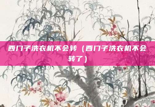 西门子洗衣机不会转（西门子洗衣机不会转了）