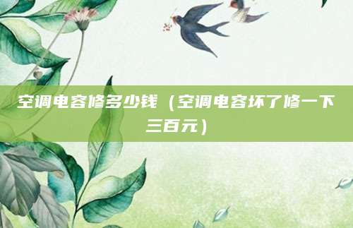 空调电容修多少钱(空调电容坏了修一下三百元)