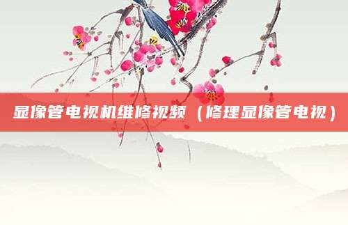 显像管电视机维修视频（修理显像管电视）