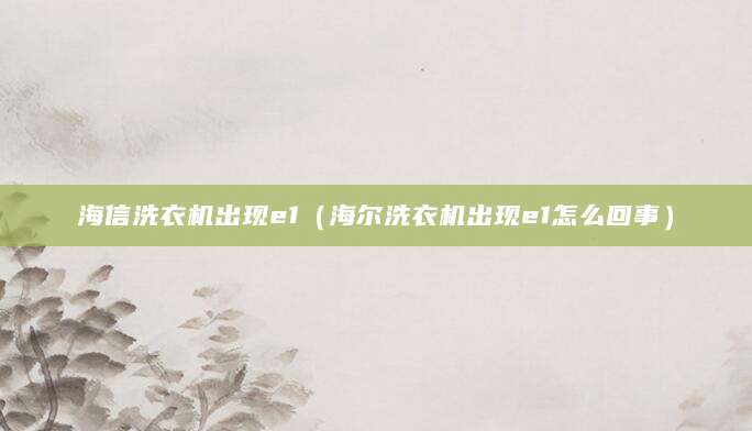 海信洗衣机出现e1（海尔洗衣机出现e1怎么回事）