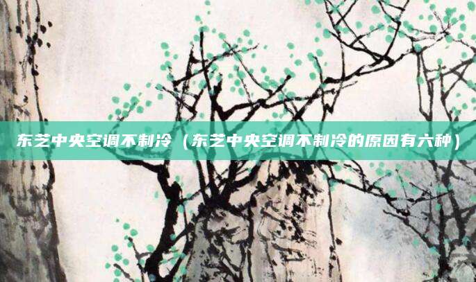 东芝中央空调不制冷（东芝中央空调不制冷的原因有六种）