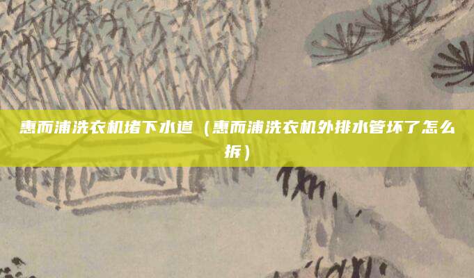 惠而浦洗衣机堵下水道(惠而浦洗衣机外排水管坏了怎么拆)